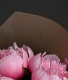 Reference: a bunch of peonies
